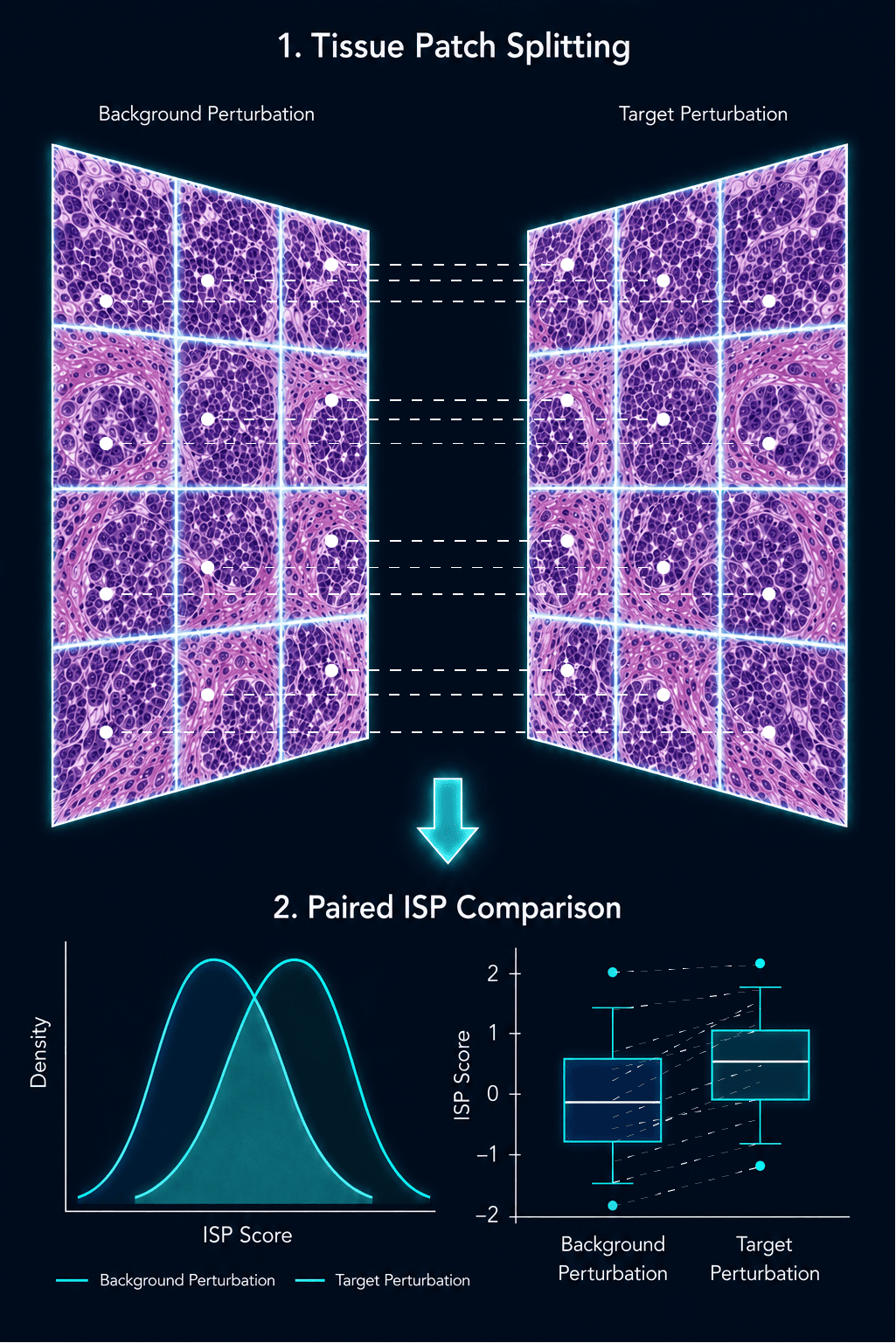 ISP Statistical Analysis: paired patch-level comparison workflow